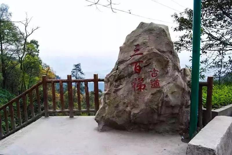 假期到处堵,周末双休哪里旅游堵