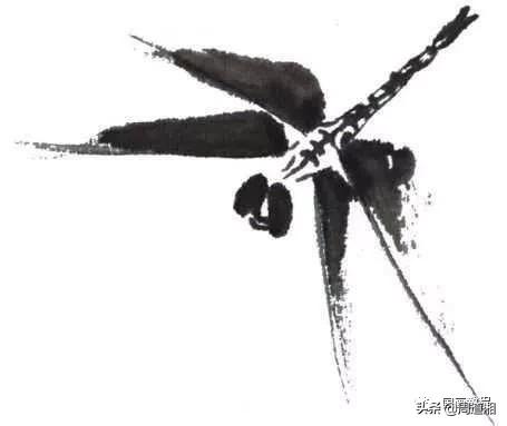 莲花和蜻蜓国画画法,飞行蜻蜓国画图片