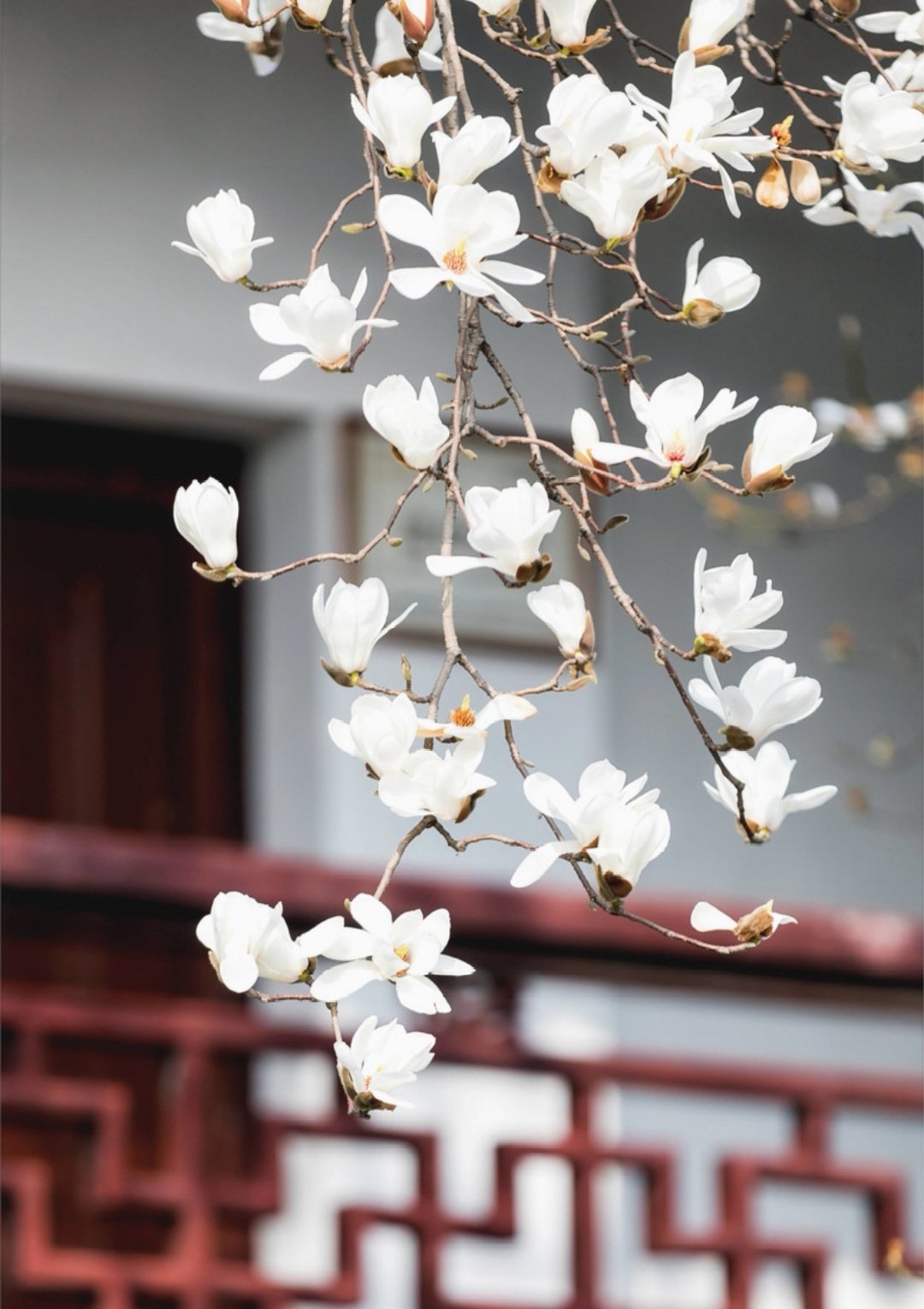 描写春天的好句子摘抄10个字,写春天的优美语段好句子摘抄