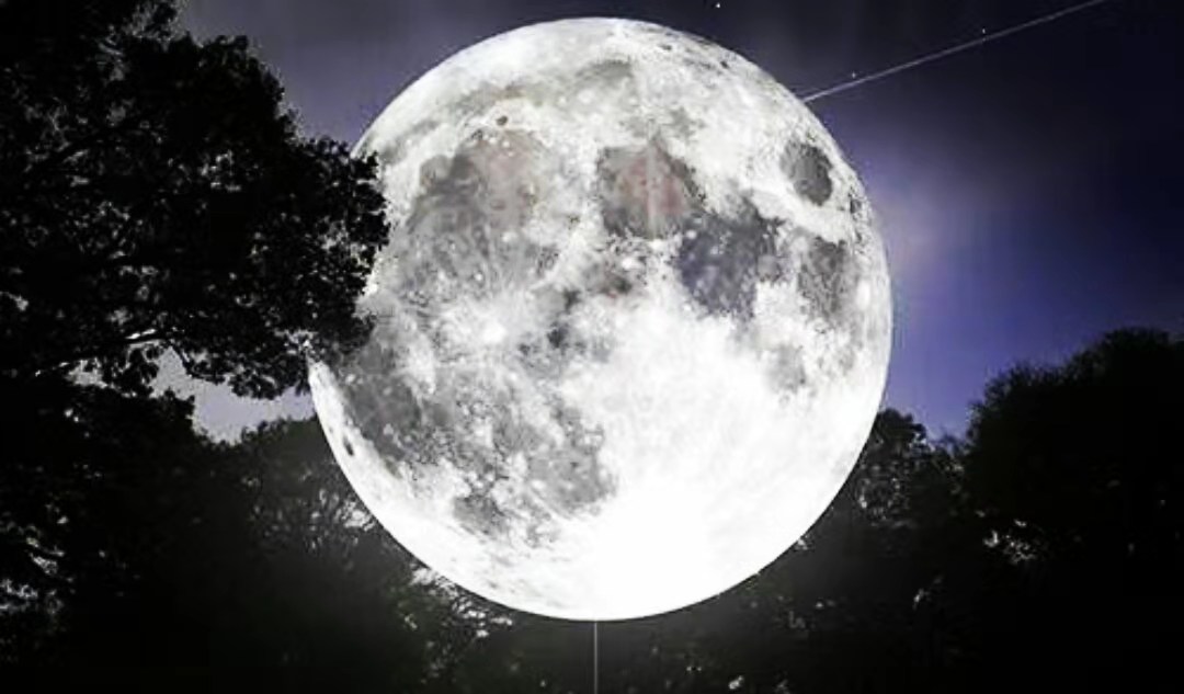 兔为什么叫玉兔,白兔为什么叫白兔