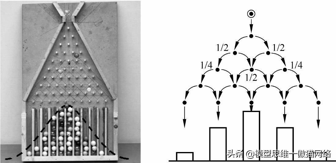 思维模型1100例,所有概率分布模型