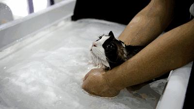 南方人洗澡不搓泥原因,南方人洗澡不搓泥不脏吗