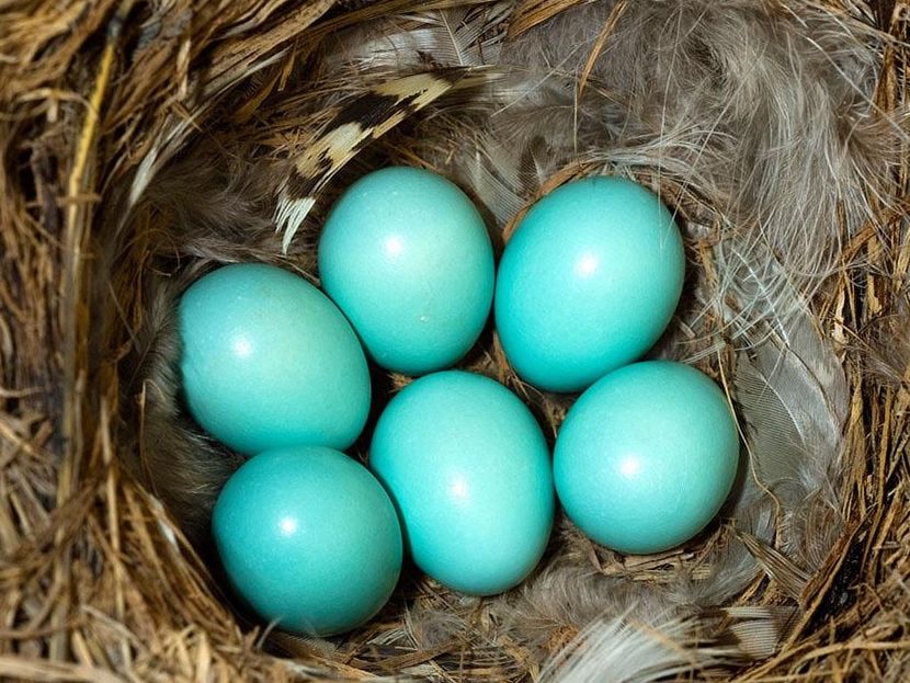 手账色彩,色彩实验室手账