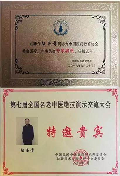 陆氏九龙正骨全套完整视频,陆氏正骨