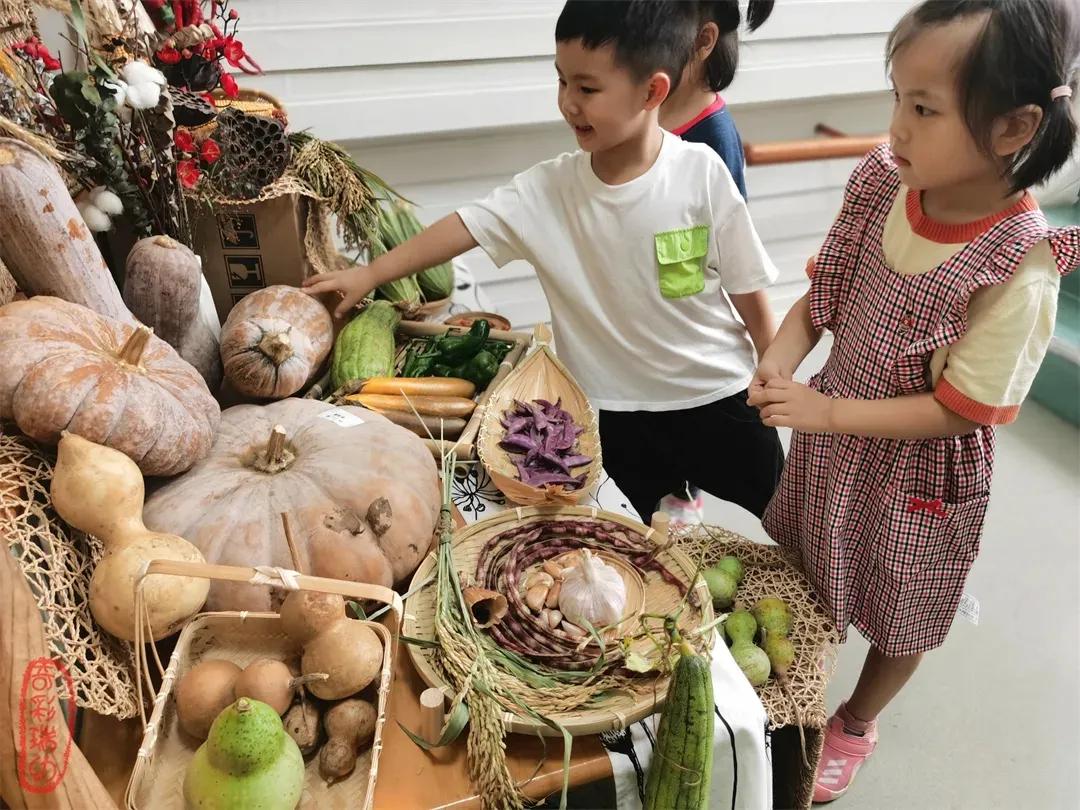 最美的风景美丽的校园,最美的风景就是校园