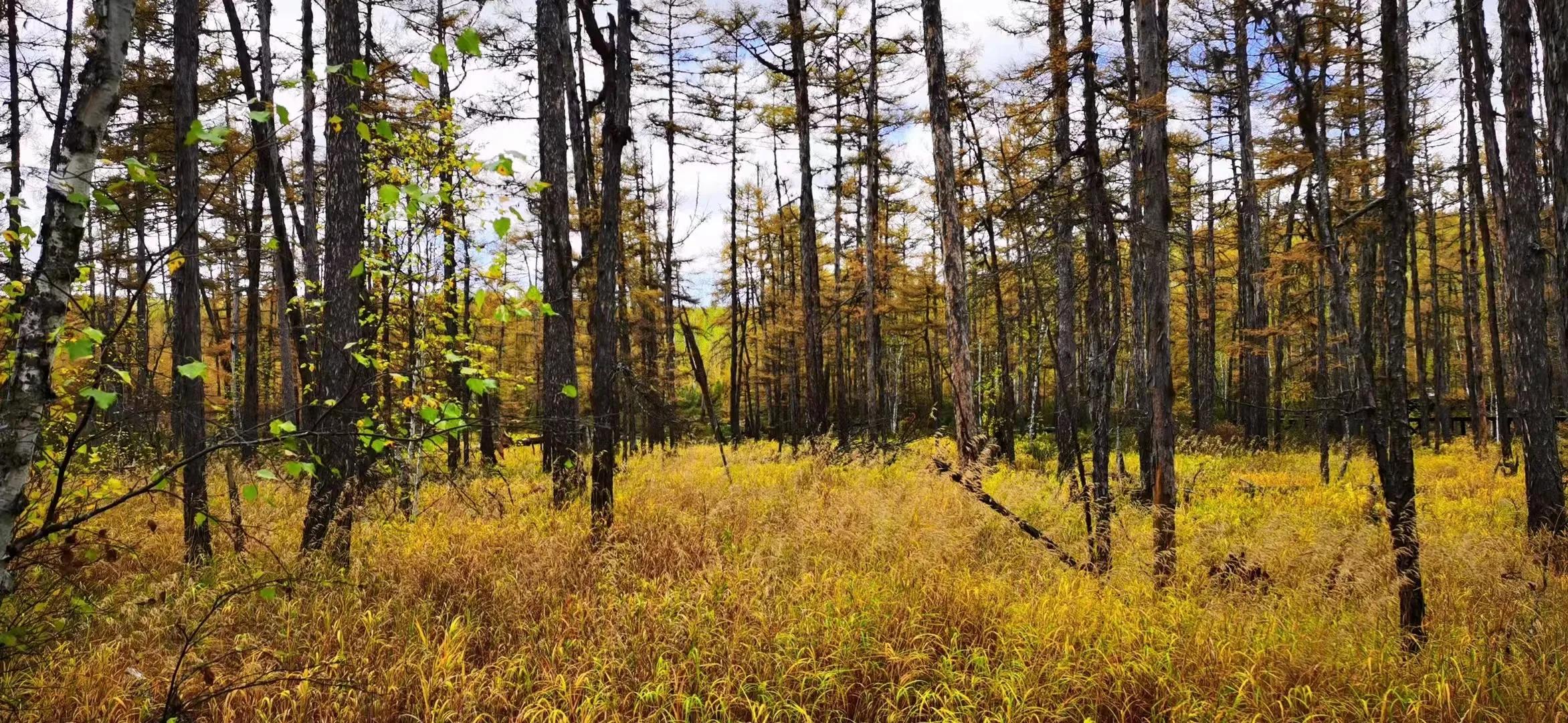 消失的同学群,变味的同学群
