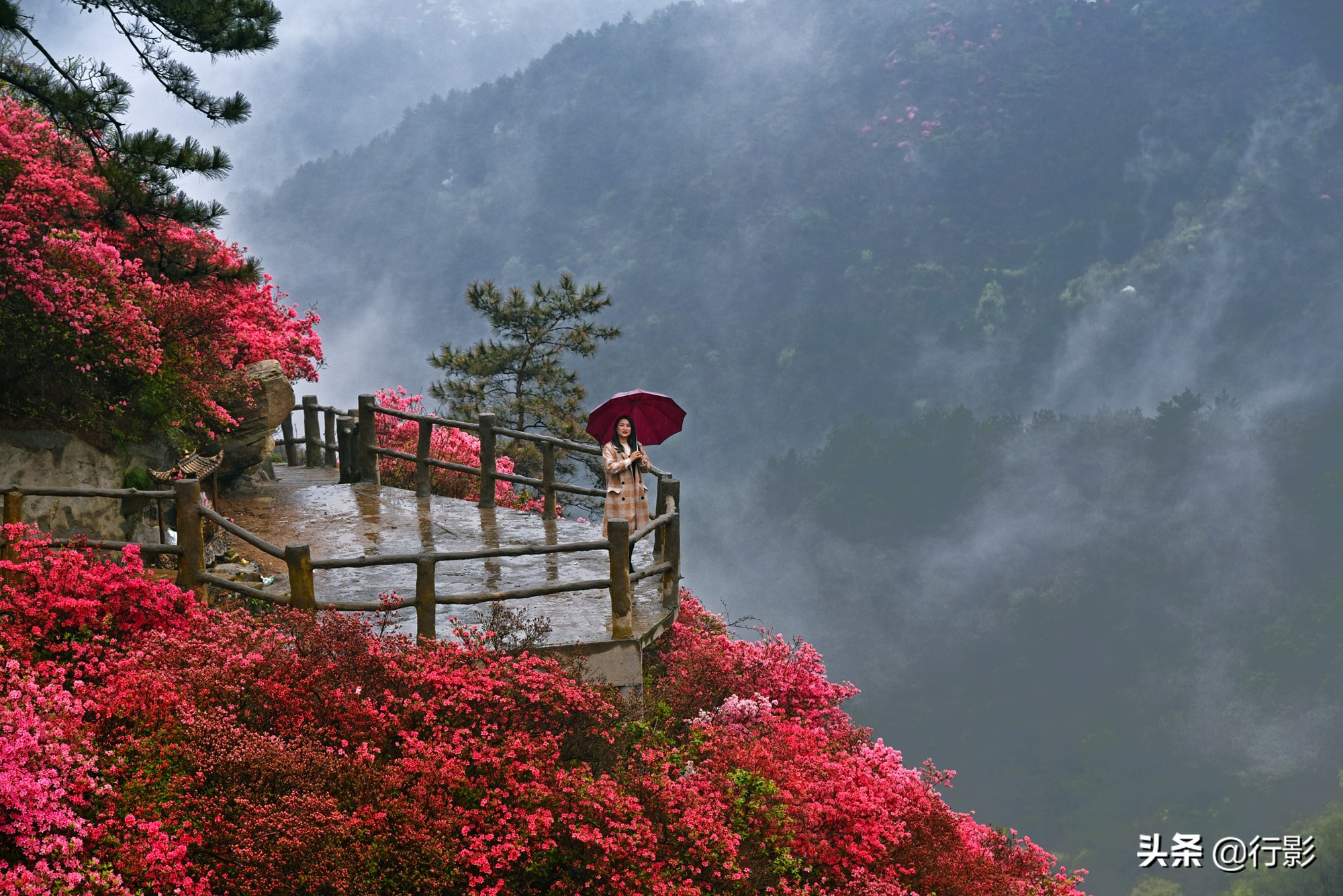 武汉青山网红打卡景点,云雾山武汉
