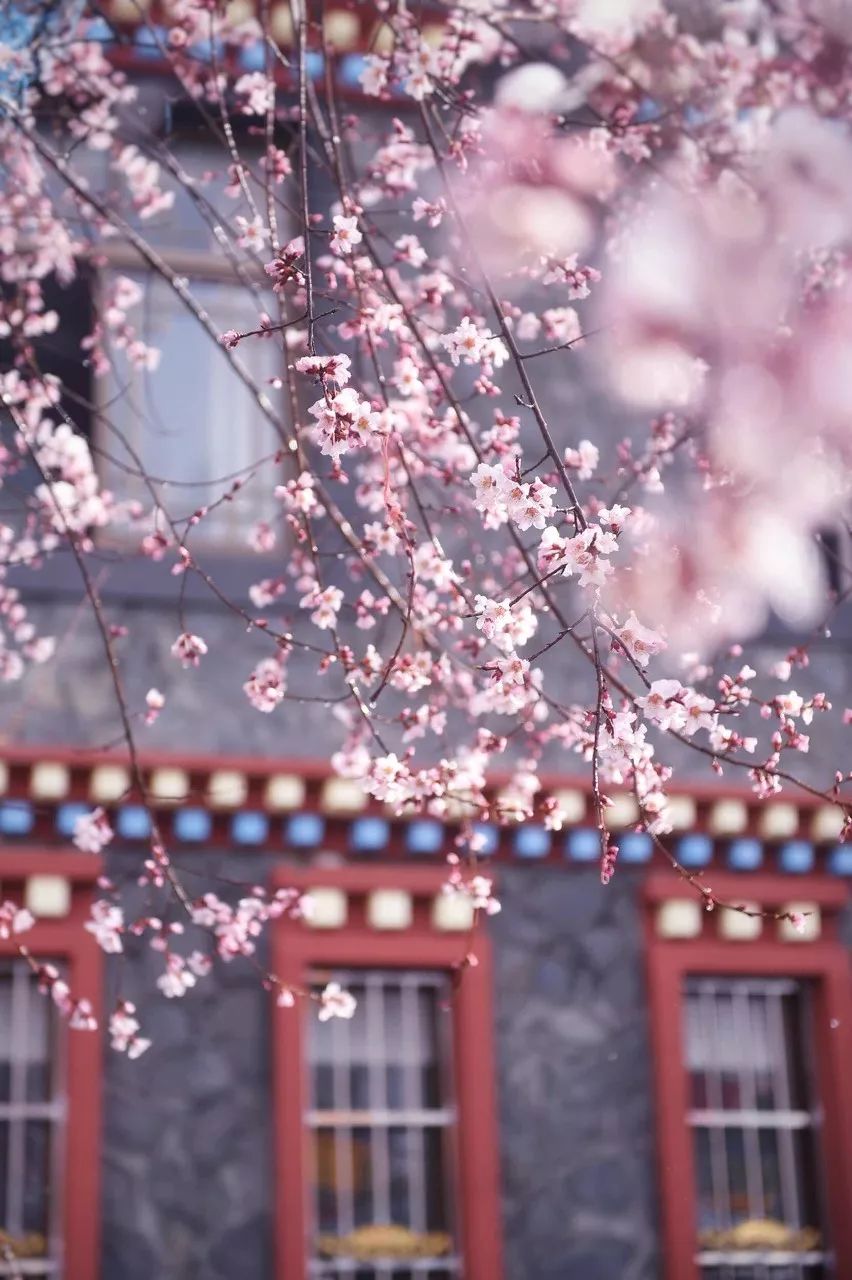 旅行最好的30件事,旅行中最有趣的一件事