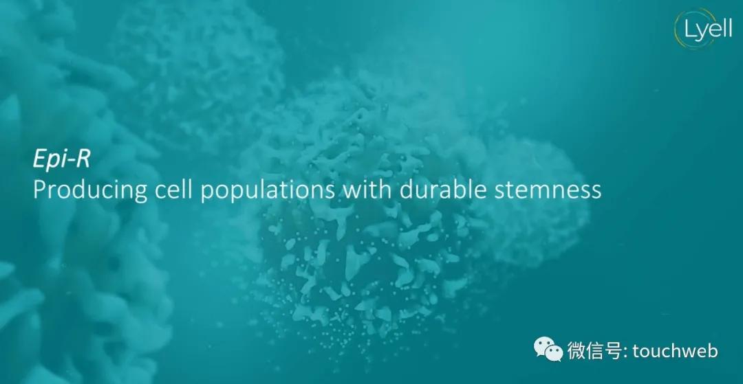 肿瘤免疫治疗公司Lyell冲刺美股：年亏2亿美元路演PPT曝光