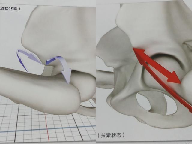 横叉练完回功了怎么办,练习横叉膝盖内侧疼痛
