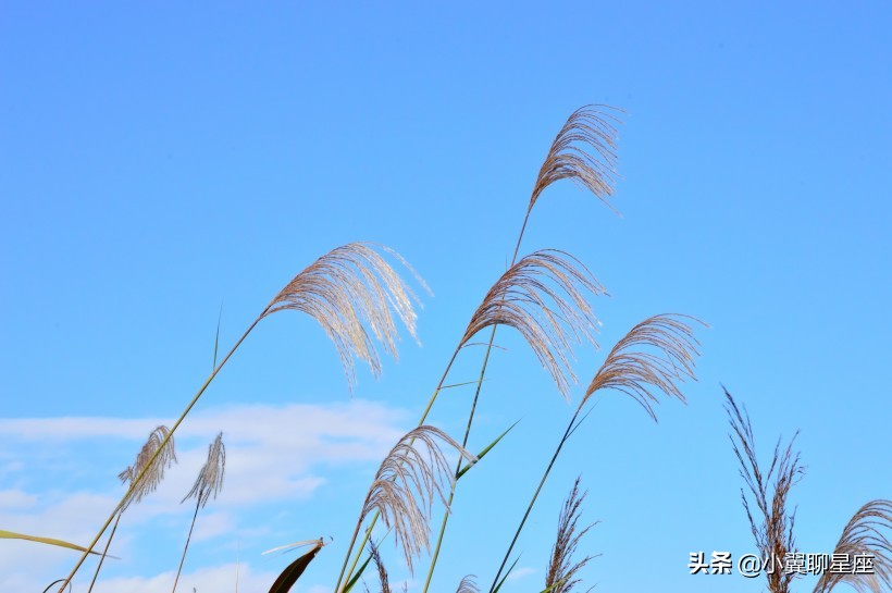一言不合就火冒三丈，这些星座脾气太差，一般人治不住