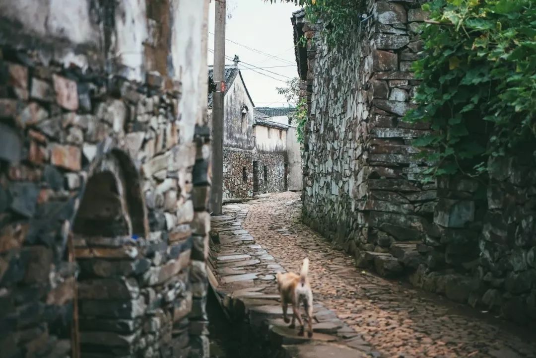 宁海野外自然美景,宁海环境优美的地方