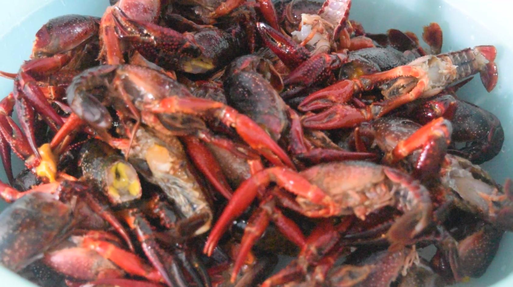 小龙虾的15种经典吃法,爱吃小龙虾怎么吃能避免发胖呢