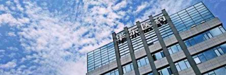 华东医药代表怎么样,华东医药是白马股吗