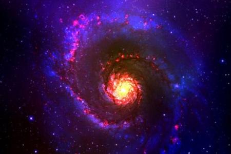 紫微斗数十四主星详解附图,紫微斗数十四主星对应动物