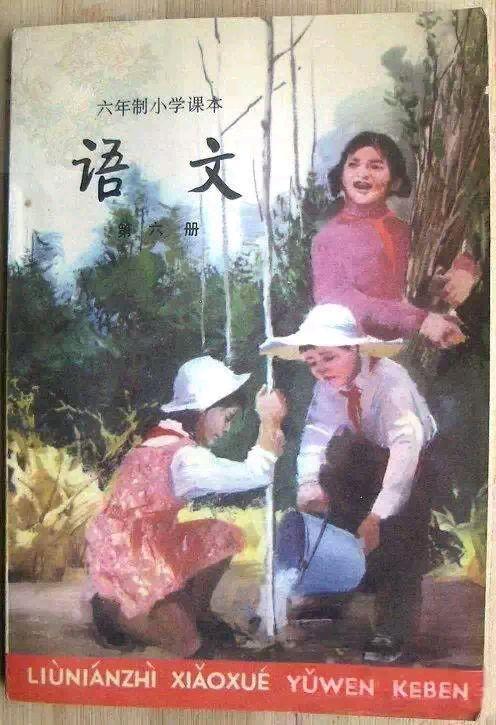 70后小学语文课本回忆,致我们老去的70后