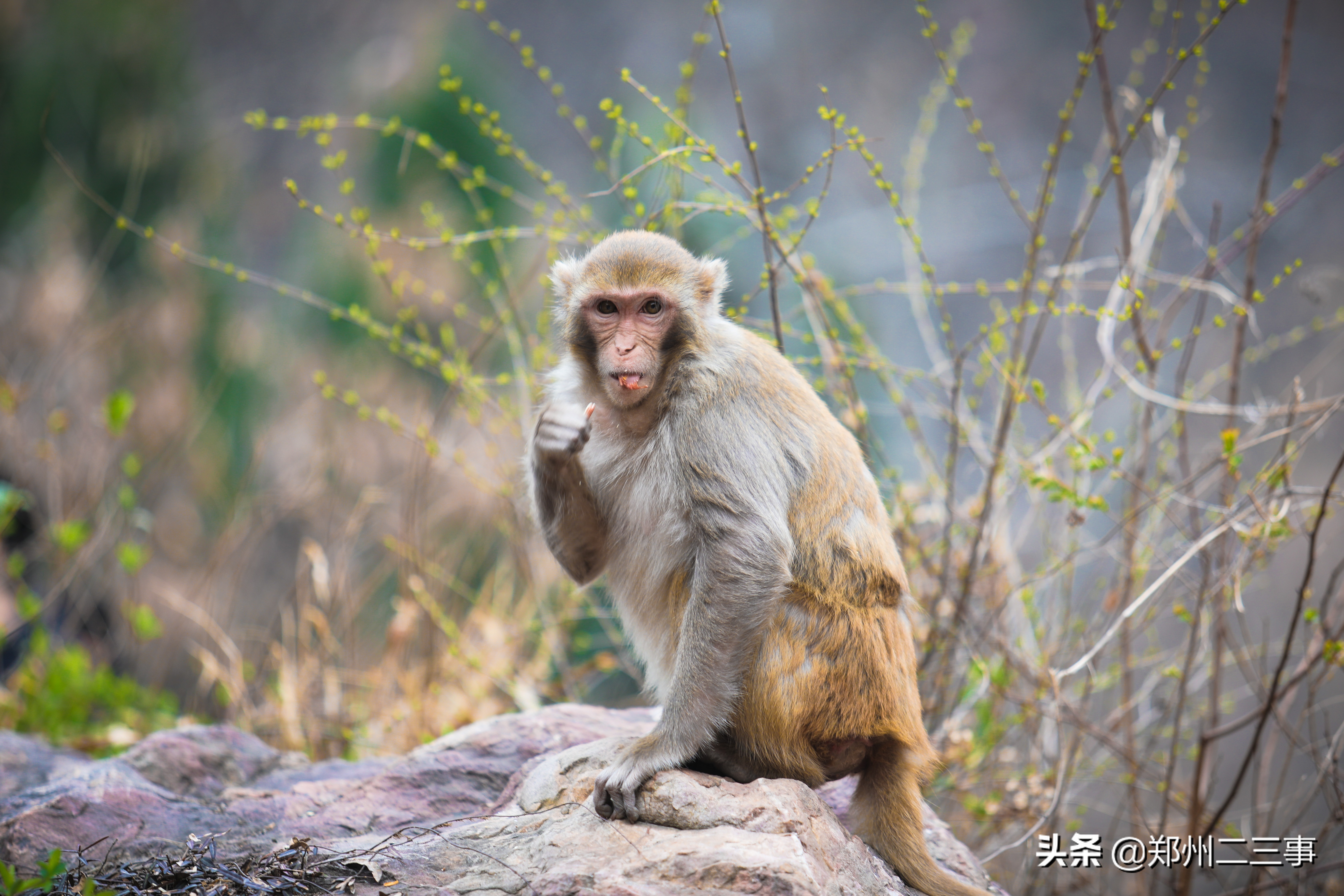 郑州惠济区免费遛娃好去处植物园,郑州遛娃踏青好去处
