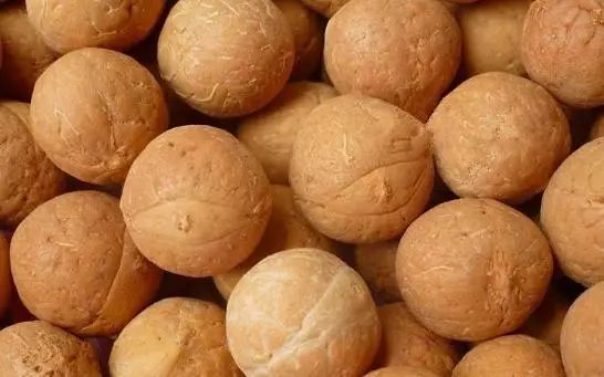 凤眼菩提的眼睛,尼泊尔凤眼菩提眼睛都是凸起来的