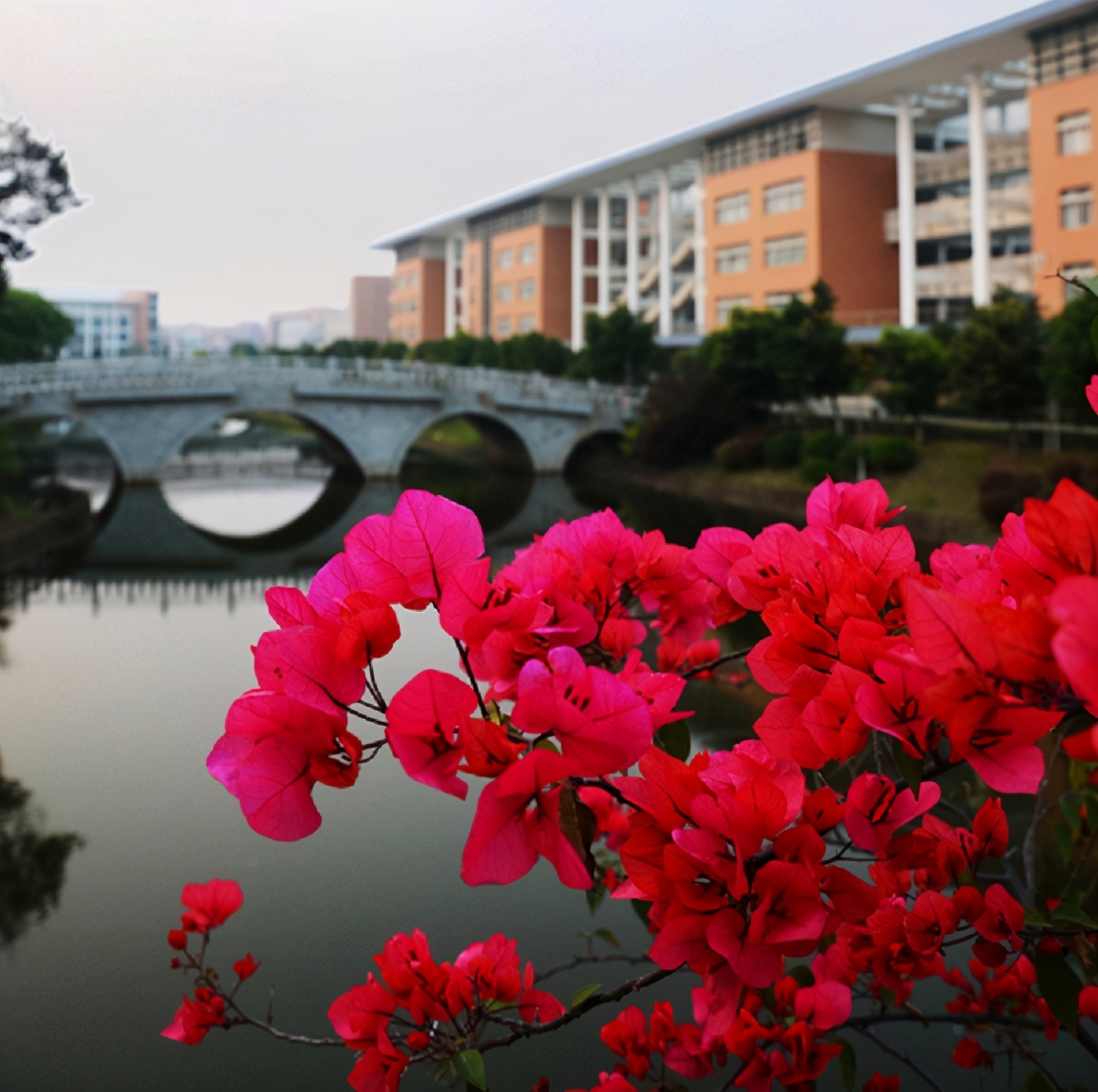 广东外语外贸大学计算机专业排名,广东外语外贸大学硕士专业有哪些