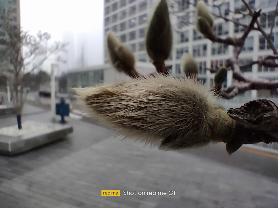 真我gt哪一款最值得入手,真我realmegt5测评