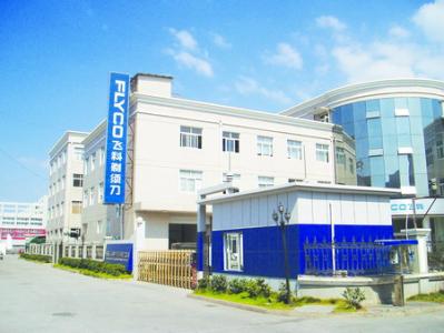 飞科李丐腾身价多少亿,飞科老板李丐腾有多少钱