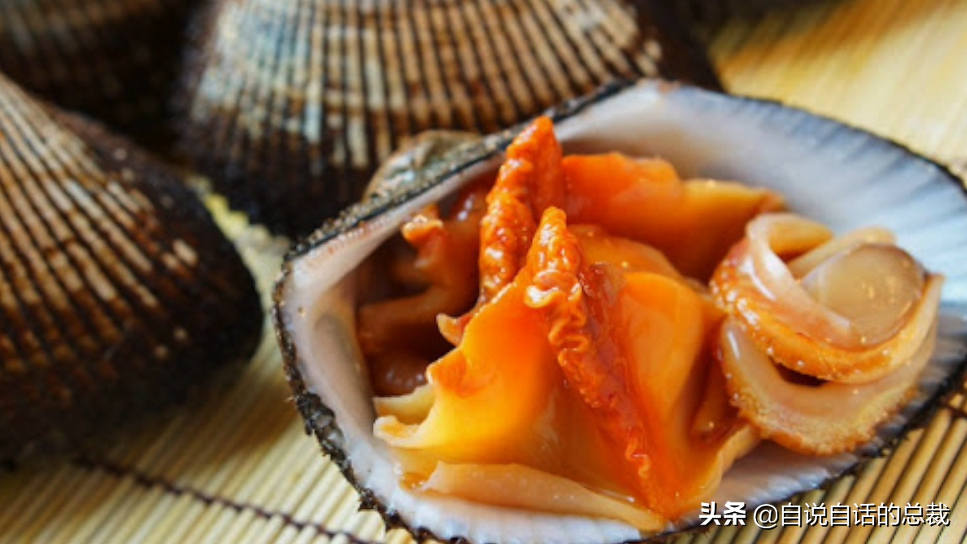 蛏子与小人蚬的区别,贻贝蛤蜊有什么区别