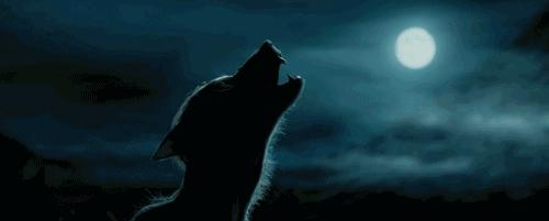 行为影响正能量,行为影响后果