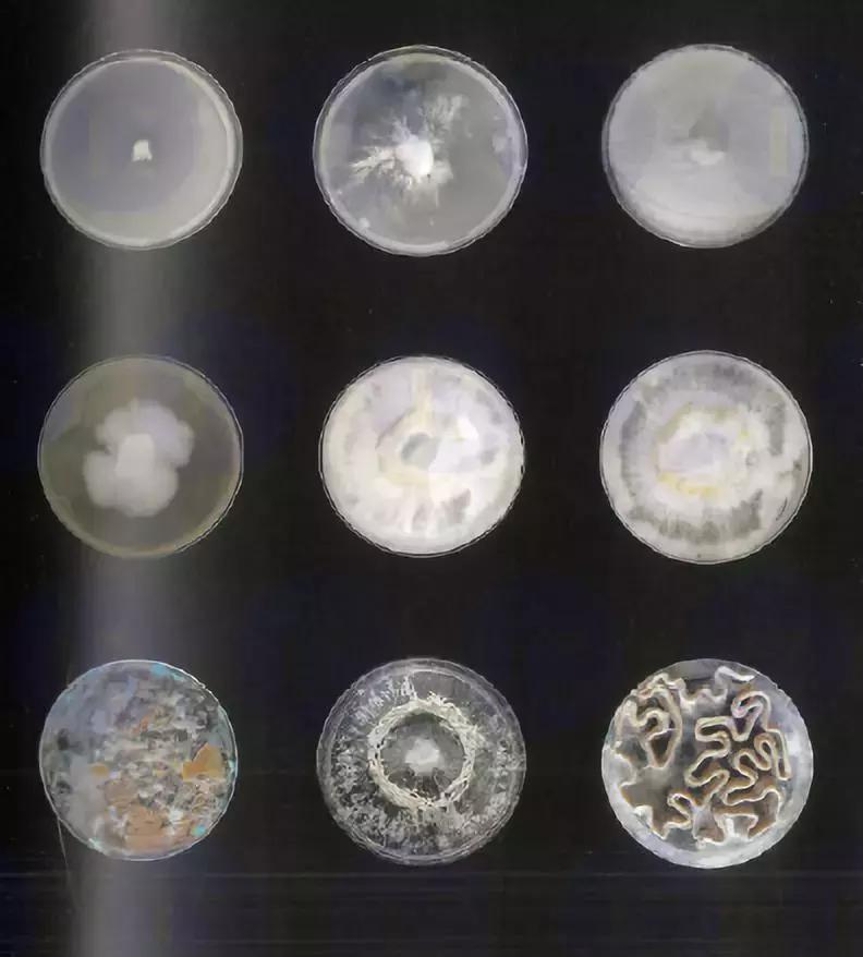 你要的巴特莱特AD专业9组毕业作品，都在这里了！—一沙分享