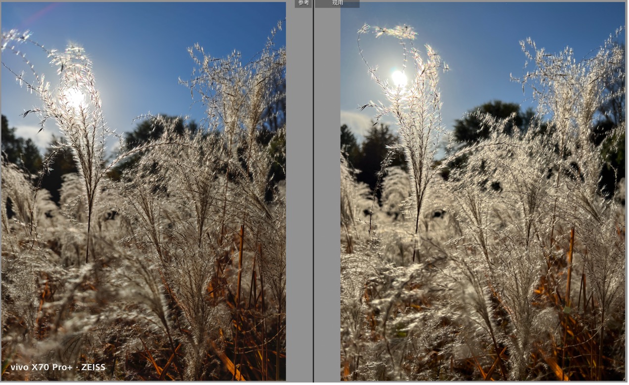 iphone13promax镜头解剖,iphone13pro跟13promax录像对比