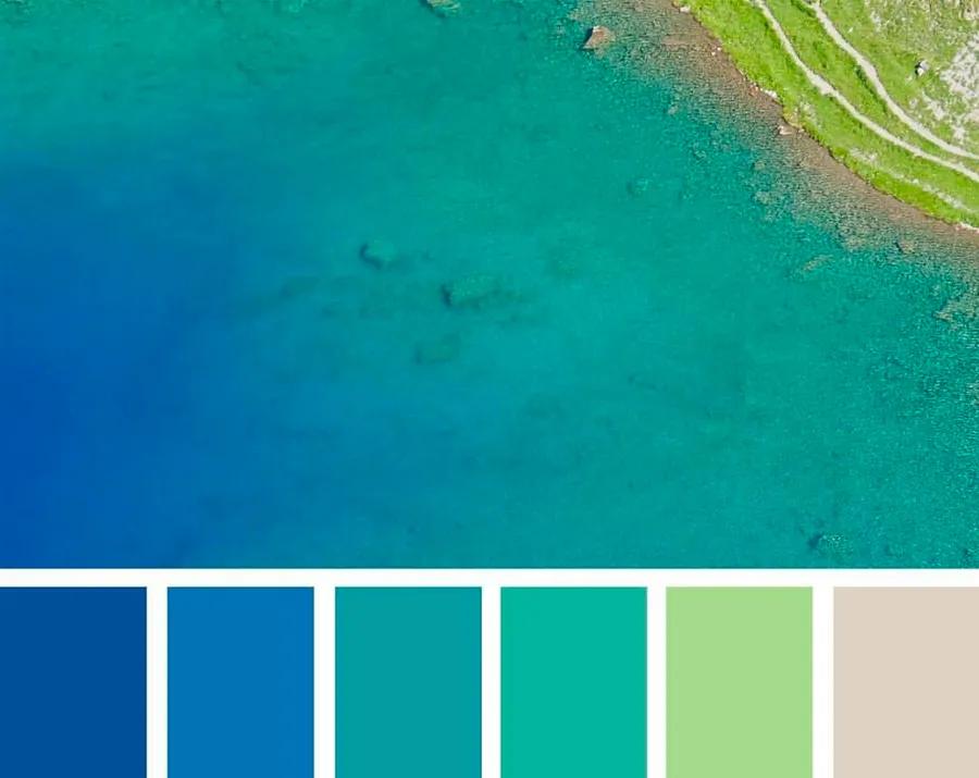 儿童画海洋生物简单画法,4-6岁儿童画海洋颜色