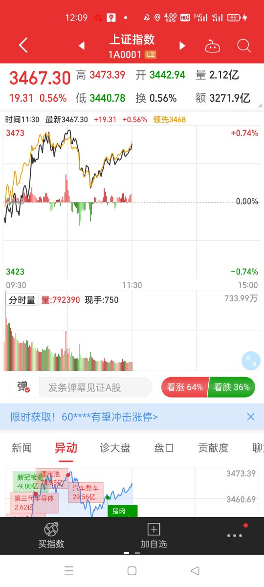 今日午评反弹行情进入高潮阶段,午评反弹行情别激动