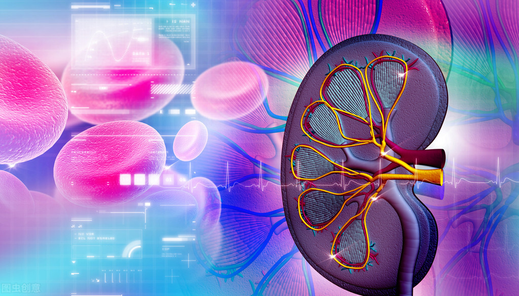 IgA肾病未及时治疗，可引发三种不典型症状:水肿、高血压、蛋白尿