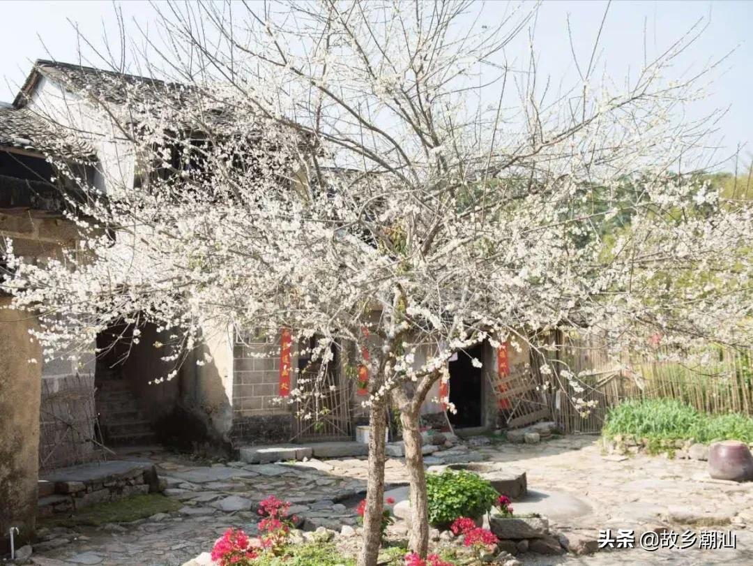 潮汕海山风情图片,饶平海山风情