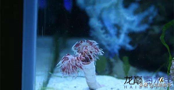 说出来都是泪！只有新下海的人才能体会这种痛，简直是全军覆灭