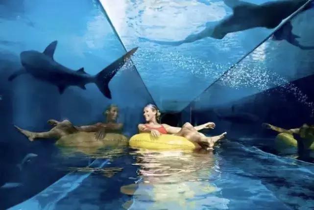 靠“*养包**”员工,逼疯同行!最不务正业的公司,在全球火了100年