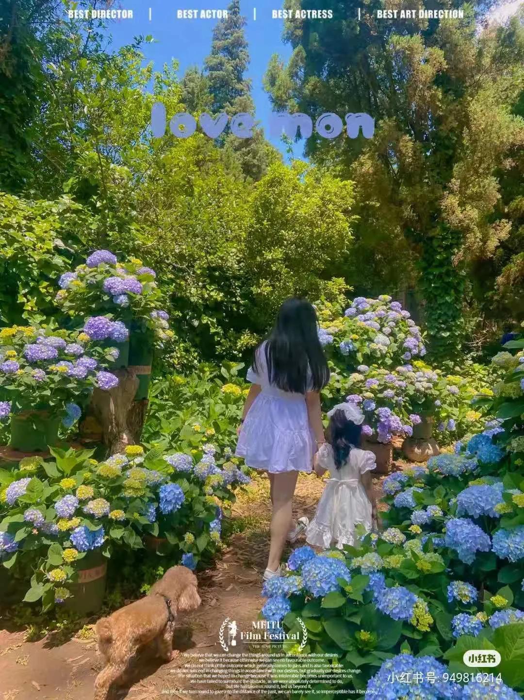 昆明春天赏花航拍,昆明添一赏花打卡点