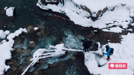 横冲直撞20岁波兰,横冲直撞20岁评价