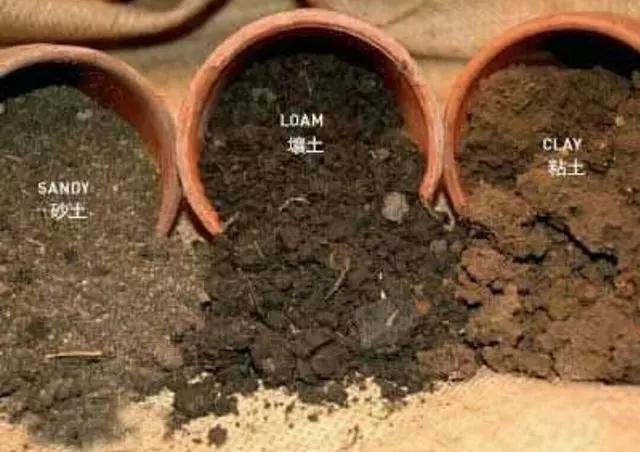 营养土包邮养花种植土,怎么做养花的生根土和营养土