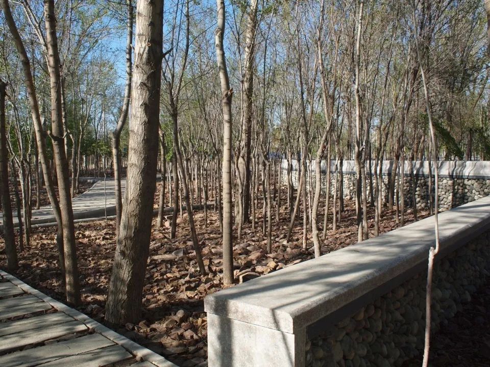 荒漠的城市,城市的喧嚣沙漠的宁静