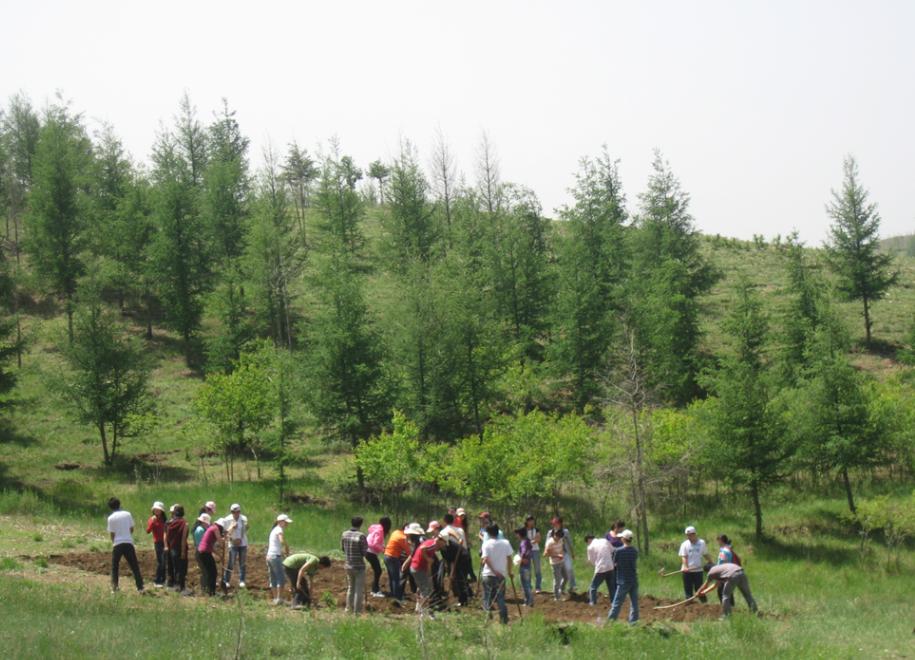 有哪些巨型飞蛾,云南现蛇纹巨型飞蛾有毒吗