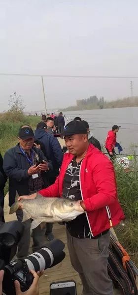 大师新手各亮绝技，1200人竞逐“古黄河野钓王”——2019年江苏省第三届古黄河野钓大赛侧记
