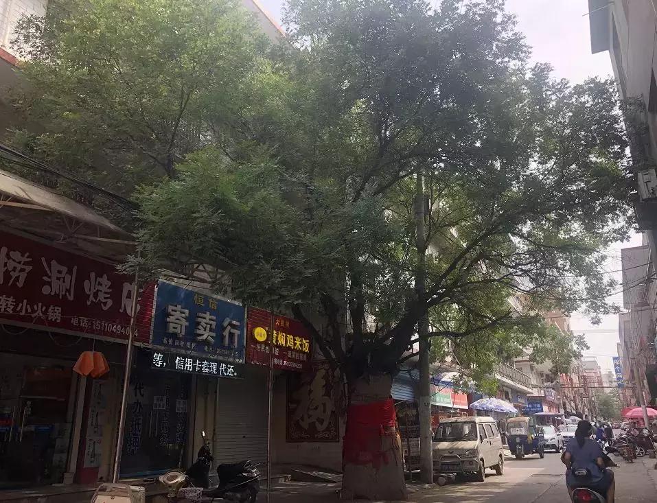 从原王庄到槐树凹，运城城中村总有属于你的故事……