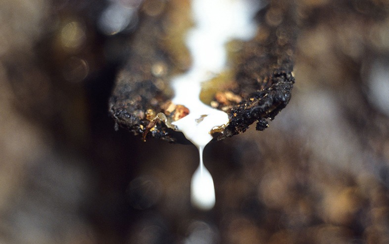 北京进口席梦思myrna床垫如何选购,北京3d网布透气性床垫如何选购