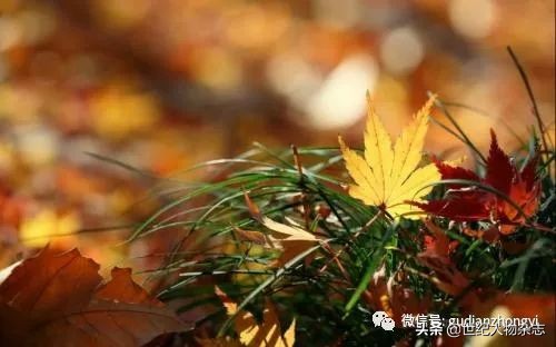 前半辈子拼命赚钱,前半生拼命挣钱后半生拼命挣命