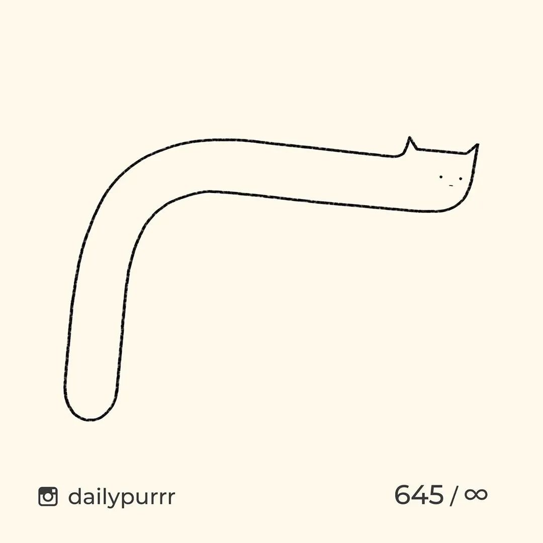 猫是一种液体吗看完长知识了,猫是液体猫咪吗