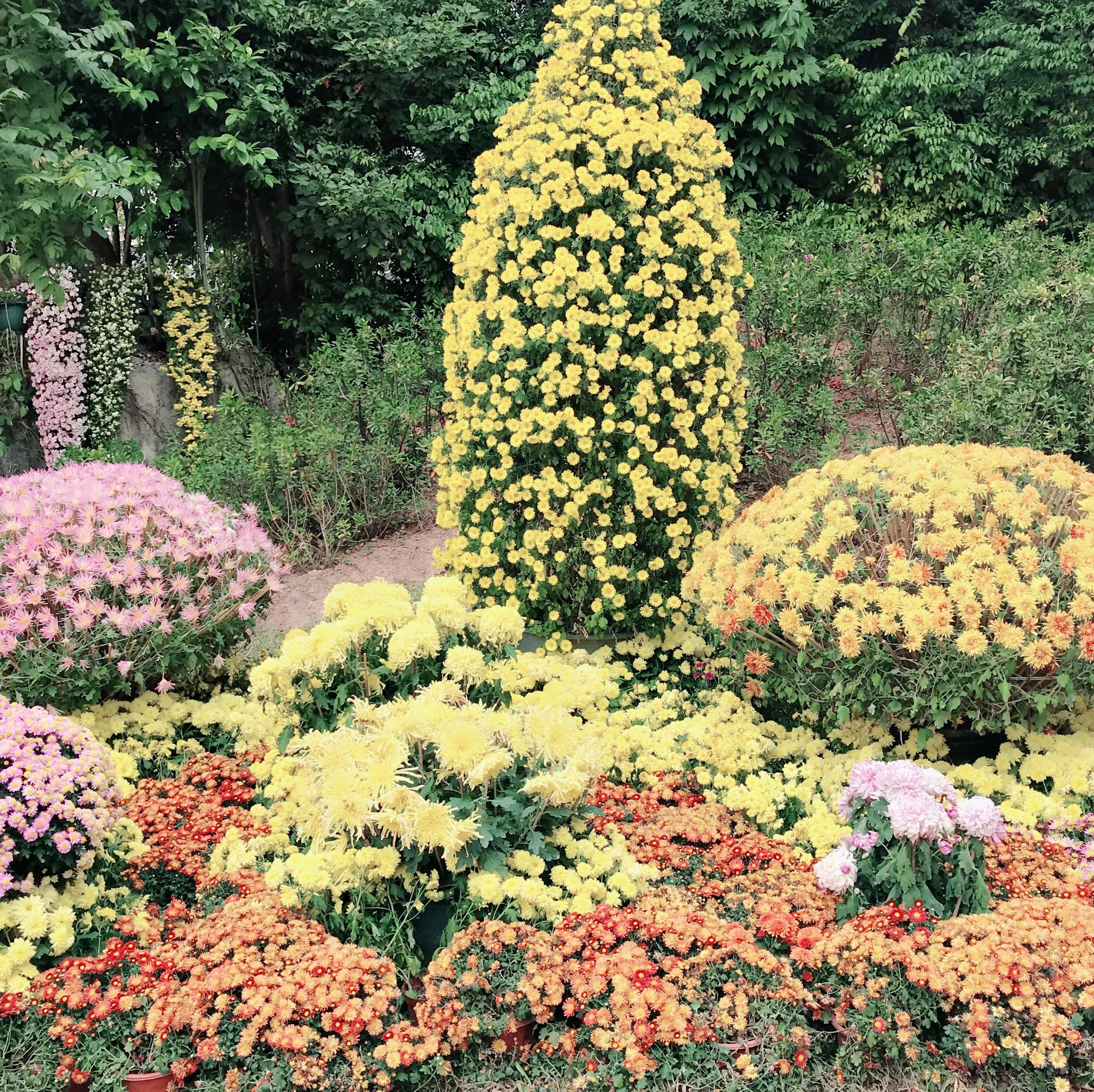 閬涘▋濂藉幓澶勮強鑺卞睍,娣卞湷閬涘▋鐪嬪睍