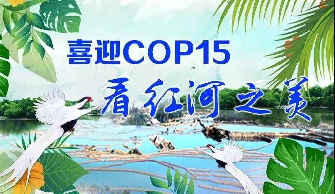 cop15的保护动物有哪些,cop15网红绿植