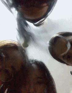 在野外发现甘蔗,在山里发现甘蔗