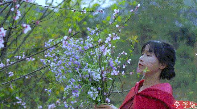 李子柒的鲜花视频,李子柒鲜花宴视频