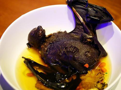 哪三种野生蝙蝠不能吃,十大不能吃的野生蝙蝠